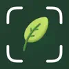 Plant Identifier: Plant Care App Feedback
