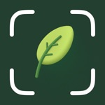 Download Plant Identifier: Plant Care app