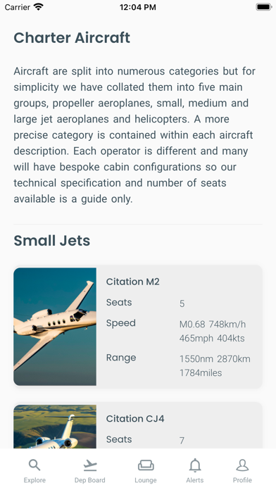 Flight Director Screenshot