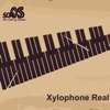 Xylophone Real: 2 mallet types - iPadアプリ