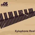 Xylophone Real: 2 mallet types App Negative Reviews