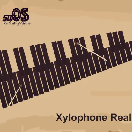 Xylophone Real: 2 mallet types Cheats