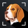 Dog Scanner Dog Breed Photo ID icon
