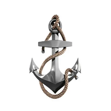 Anchor Physical Therapy, P.C. Cheats
