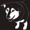 Dog Breed Identifier App