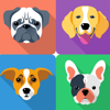 Dog Breeds Guide & Quiz - Hasan Cakir