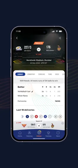 Game screenshot IPL hack