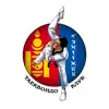 Temuujin Taekwondo Club App Feedback