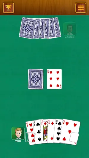 Crazy Eights - Classic Cards screenshot 2