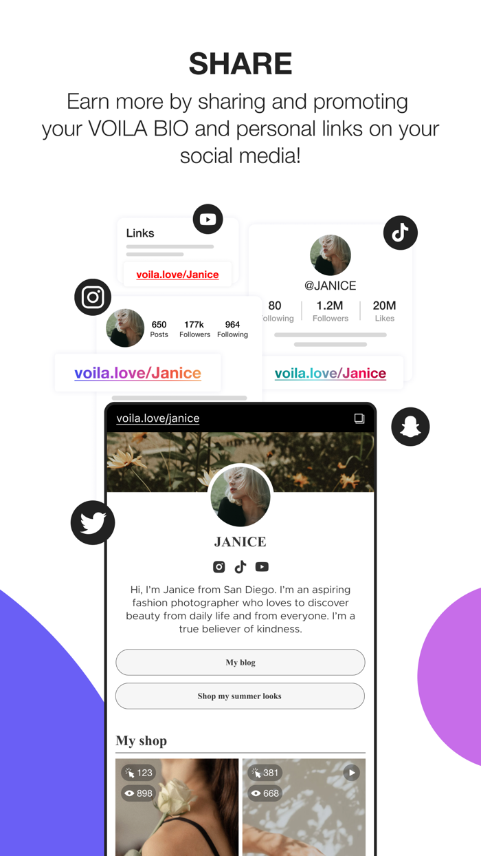 VOILA Monetize with Ease