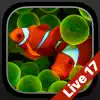 Aquarium Dynamic Wallpapers App Positive Reviews