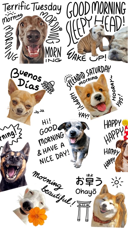 Good Morning Dogs Stickers screenshot-4