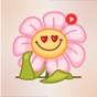 Animated Flowers app download