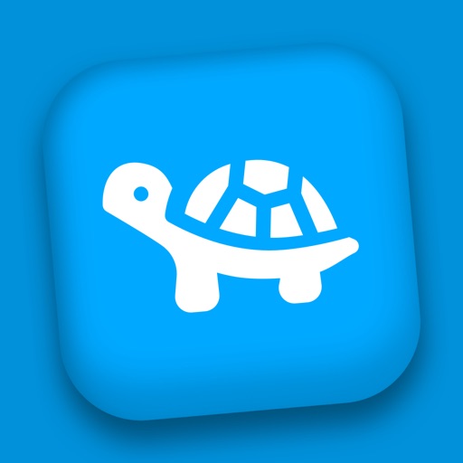 Turtle: Private Diary Journal