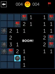 minesweeper fun iPad Captures Décran 3