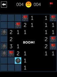 Minesweeper Fun ipad bilder 2