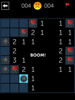 Minesweeper Fun iPad image 3