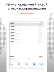 Диктофон - Для Записи Звука айпад изображения 3