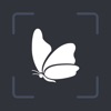 Bugy - Bug ID icon