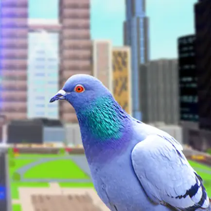 Pigeon Bird Simulator Cheats