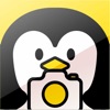 펭귄 카메라 (Penguin Camera)