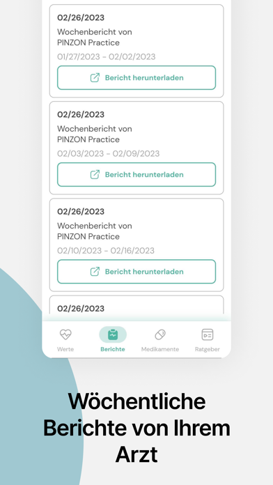 PINZON Screenshot