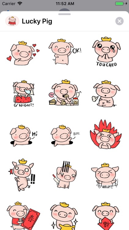 Marvin the Lucky Pig screenshot-4