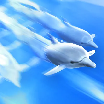 Dolphin Trainer Читы