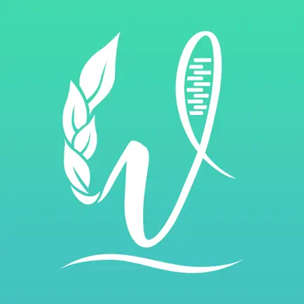 West Health Spa Читы