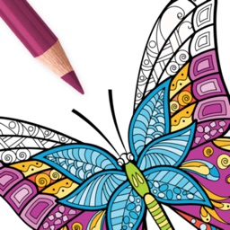 Livre de Coloriage Papillon