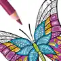 Adult Butterfly Coloring Book