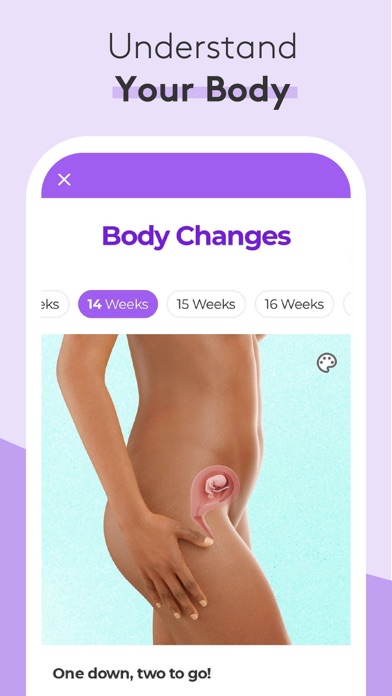 Pregnancy & Baby Tracker - WTE Screenshot