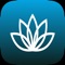 Have you ever visited a meditation app or a website and got confused seeing the thousands of articles in front of you on which is the best meditation for you to begin with