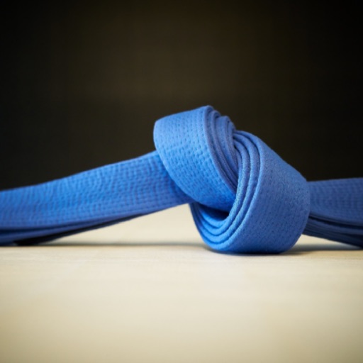 BJJ Blue Belt Requirements 2.0