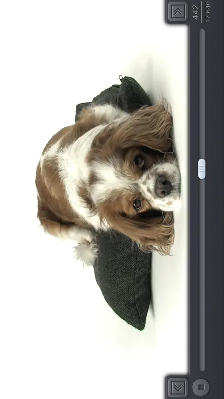 Video 2 Photo - HD screenshot 9 of 10