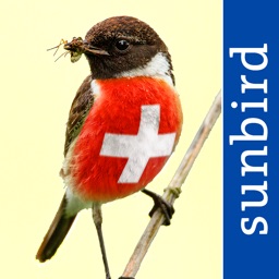 Alle Vögel Schweiz - Fotoguide