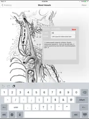 anatomy atlas айпад изображения 4