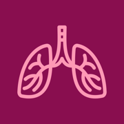 Respiratory and Lung sounds