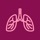 Respiratory and Lung sounds