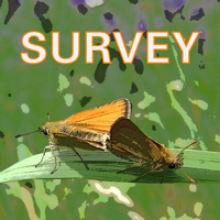 Eco-survey