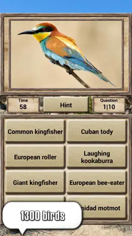 Game screenshot Animal Kingdom - Quiz Game hack