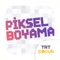 TRT Piksel Boyama