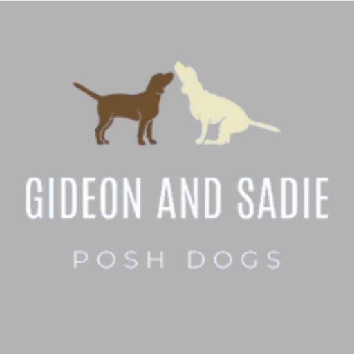 Gideon and Sadie Posh Dogs