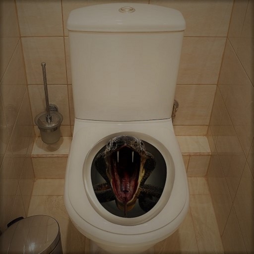 Scary Toilet Nextbots Shooting Icon