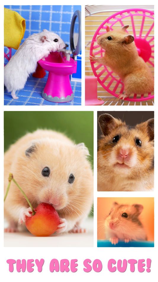 #2. Hamster Jigsaw Puzzle Games (iOS) โดย: Irina Schens