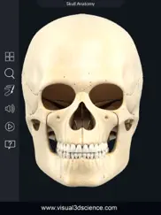 my skull anatomy ipad resimleri 4
