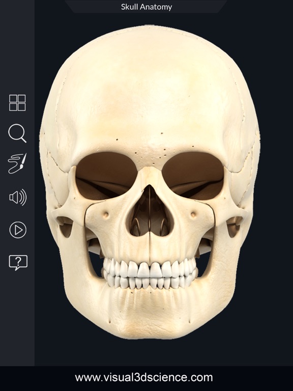 My Skull Anatomyのおすすめ画像4
