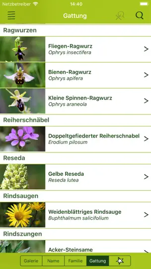 Screenshot von Wildblumen Finder Schweiz auf dem iPhone 8