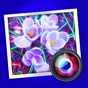 Spektrel Art app download