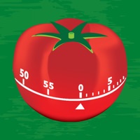 Pomodoro Timer  logo